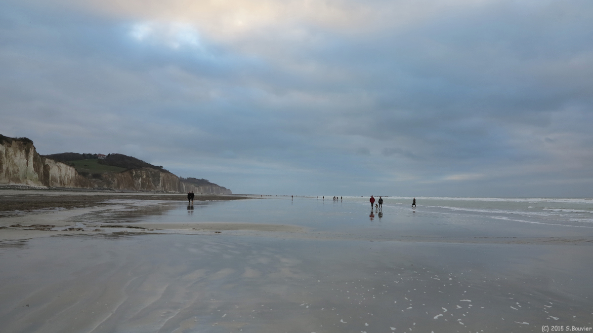 Varengeville sur Mer (Estran 3)