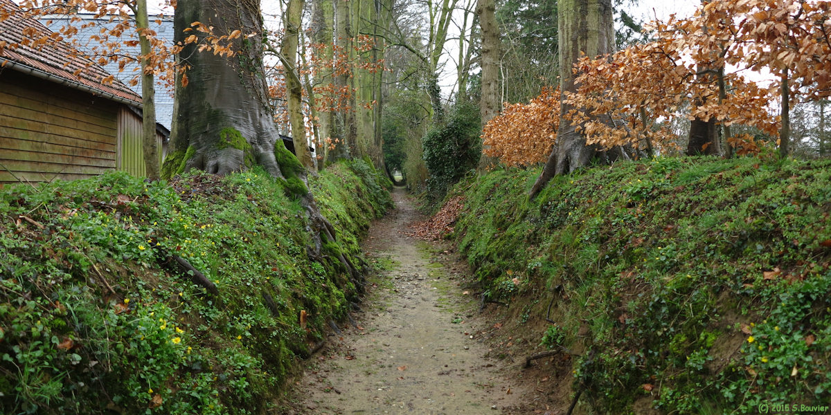 Greuville (Sente)