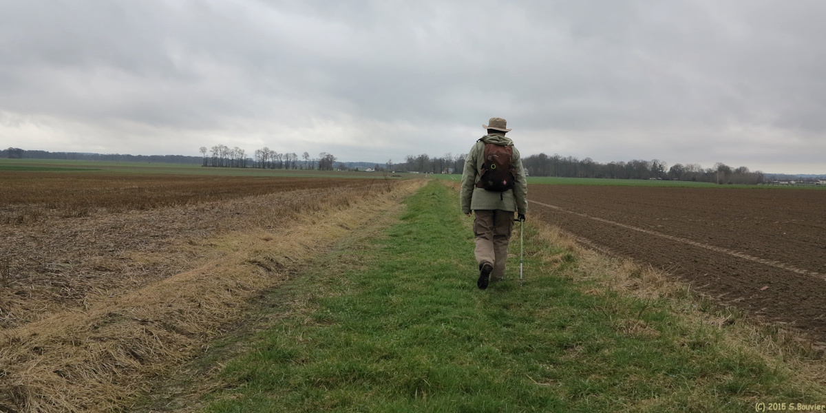 Greuville (Chemin)