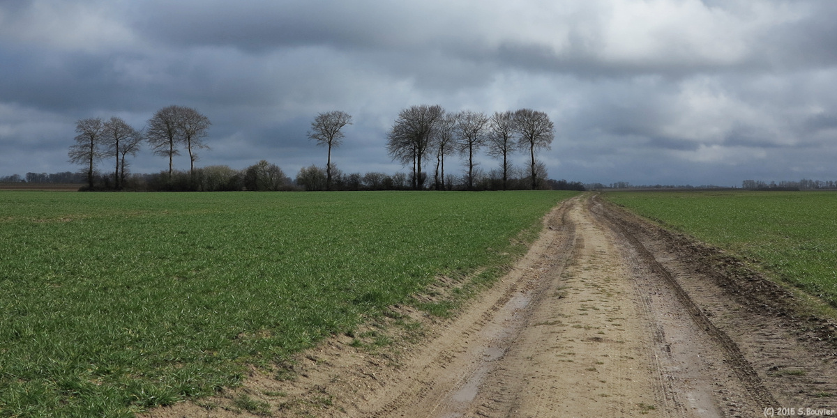 Crasville la Rocquefort (Chemin 1)
