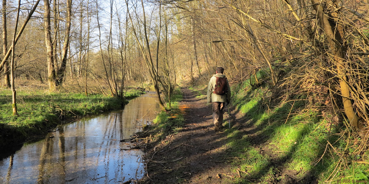 Royville (Chemin 3)