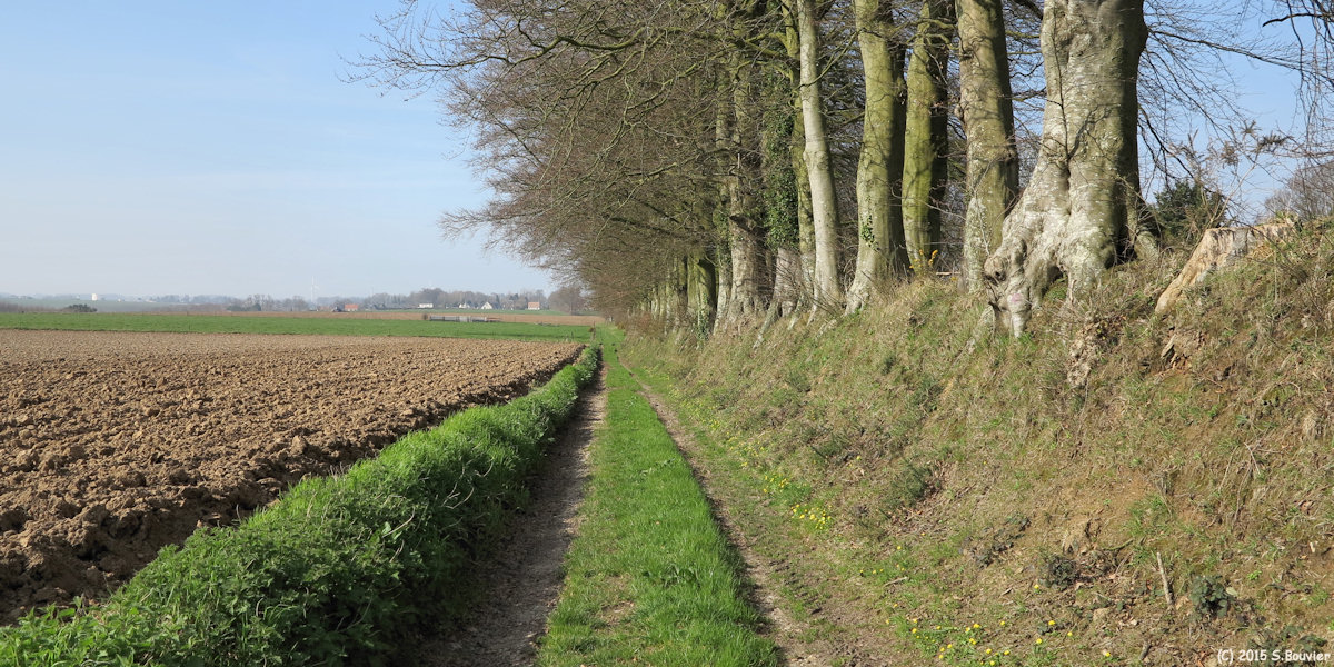 Brametot (Chemin)
