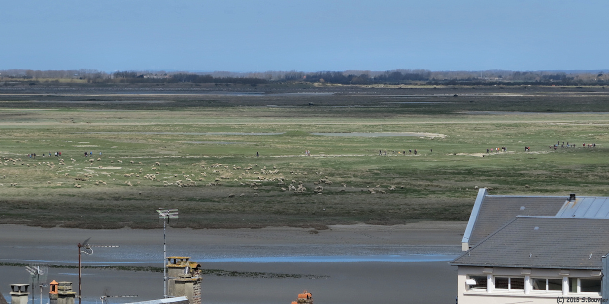Saint Valery sur Somme (Randonneurs)