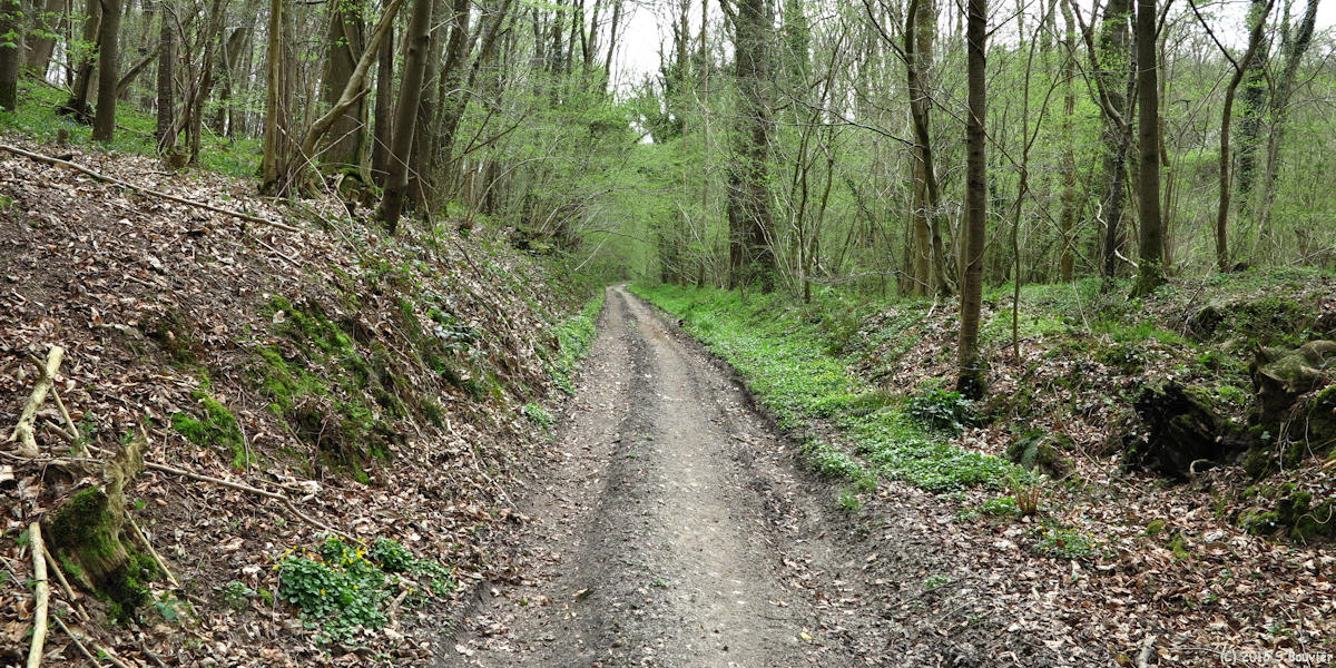 Hautot l'Auvray (Chemin 2)