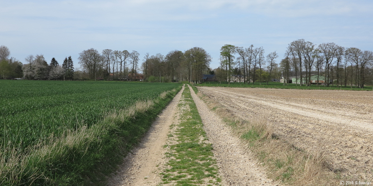 Anglesqueville la Bras Long (Chemin 2)