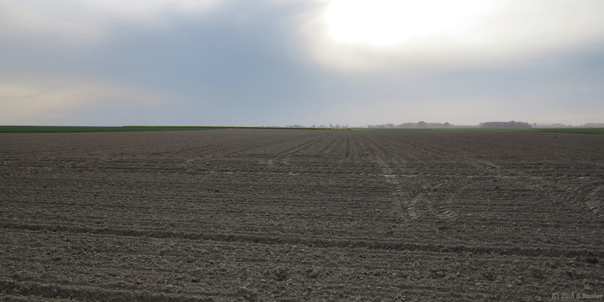Drosay (Plaine 1)