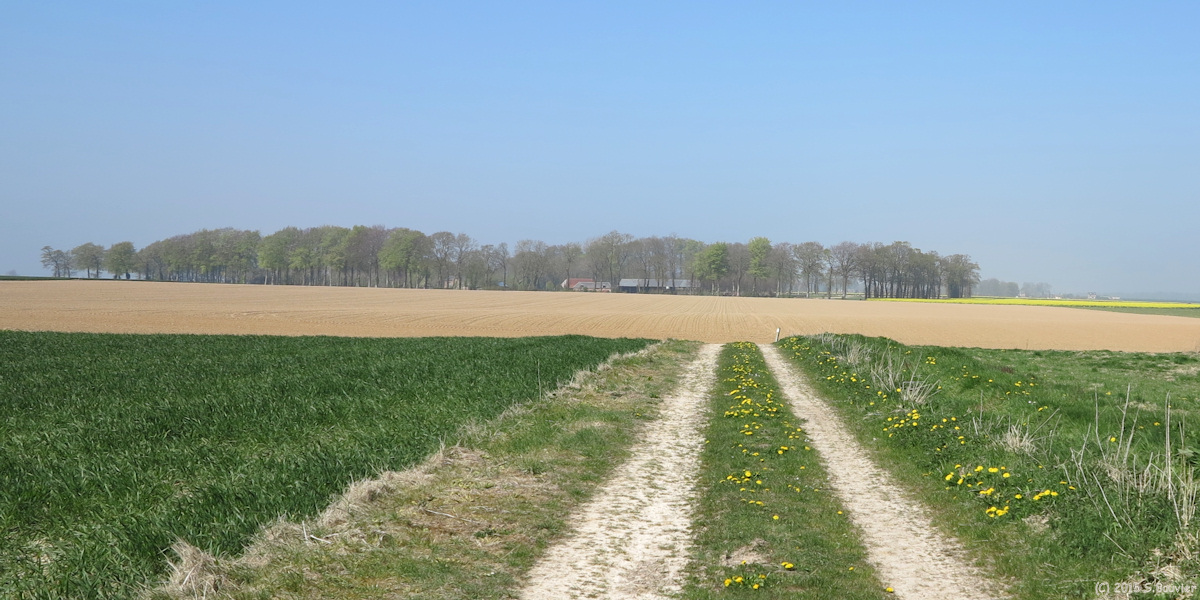 Hautot l'Auvray (Chemin)