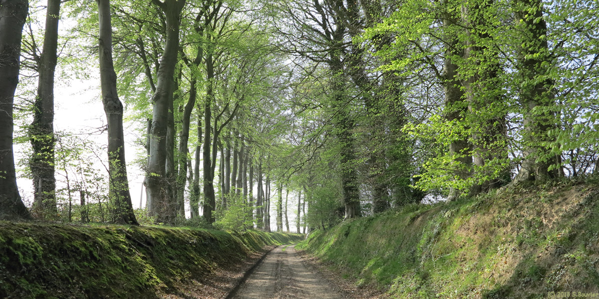 Drosay (Chemin 1)