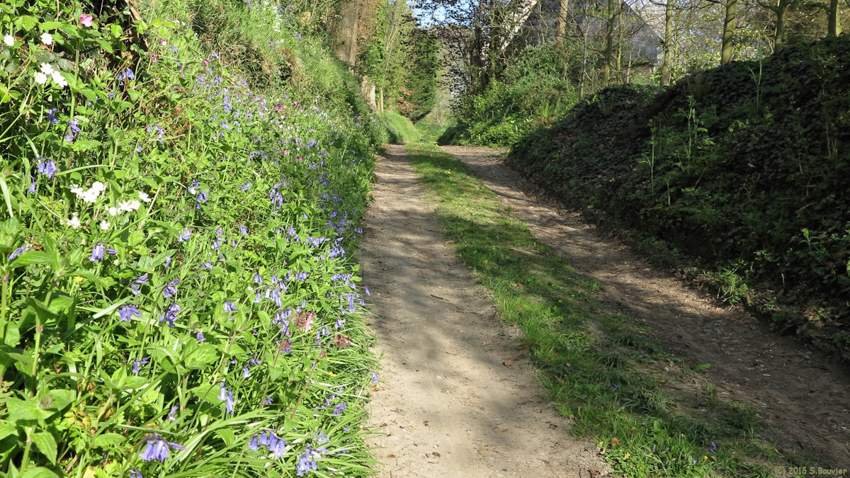 Néville (Talus Fleuri)