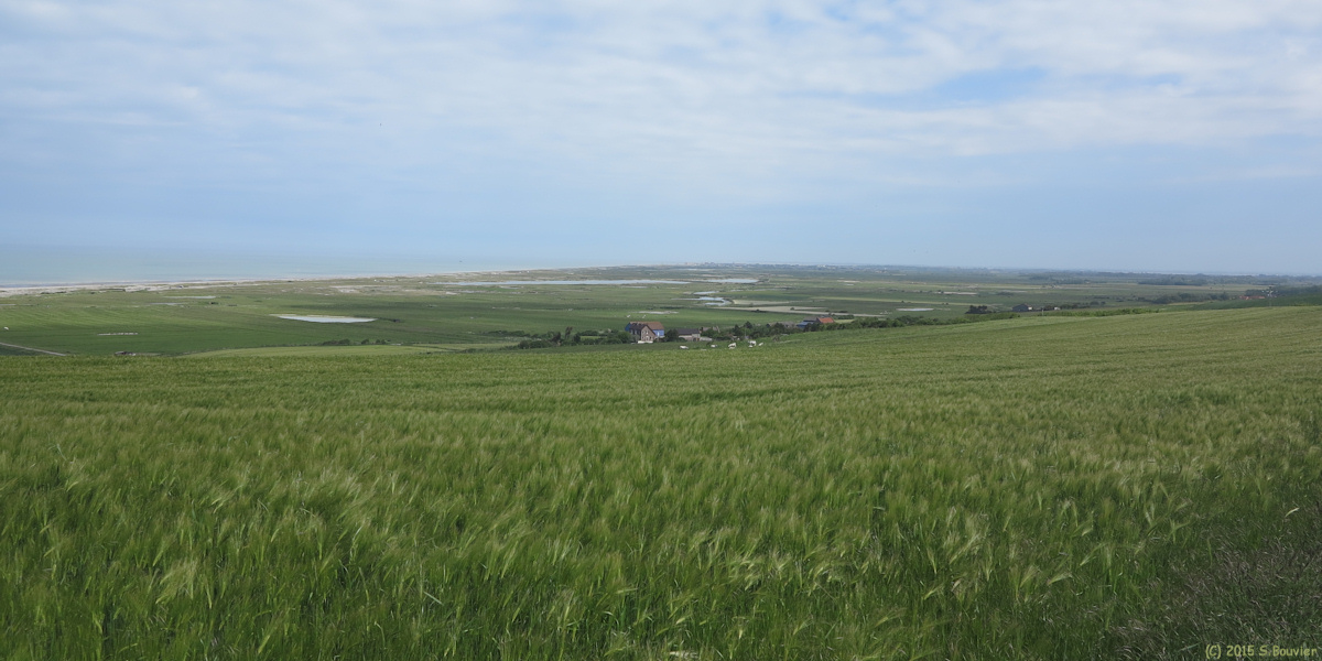 Woignarue (Hâble d'Ault 2)