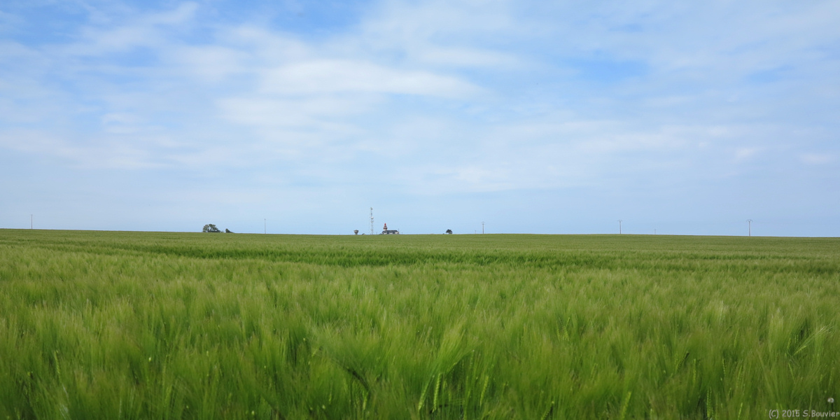 Woignarue (Champ, Phare)