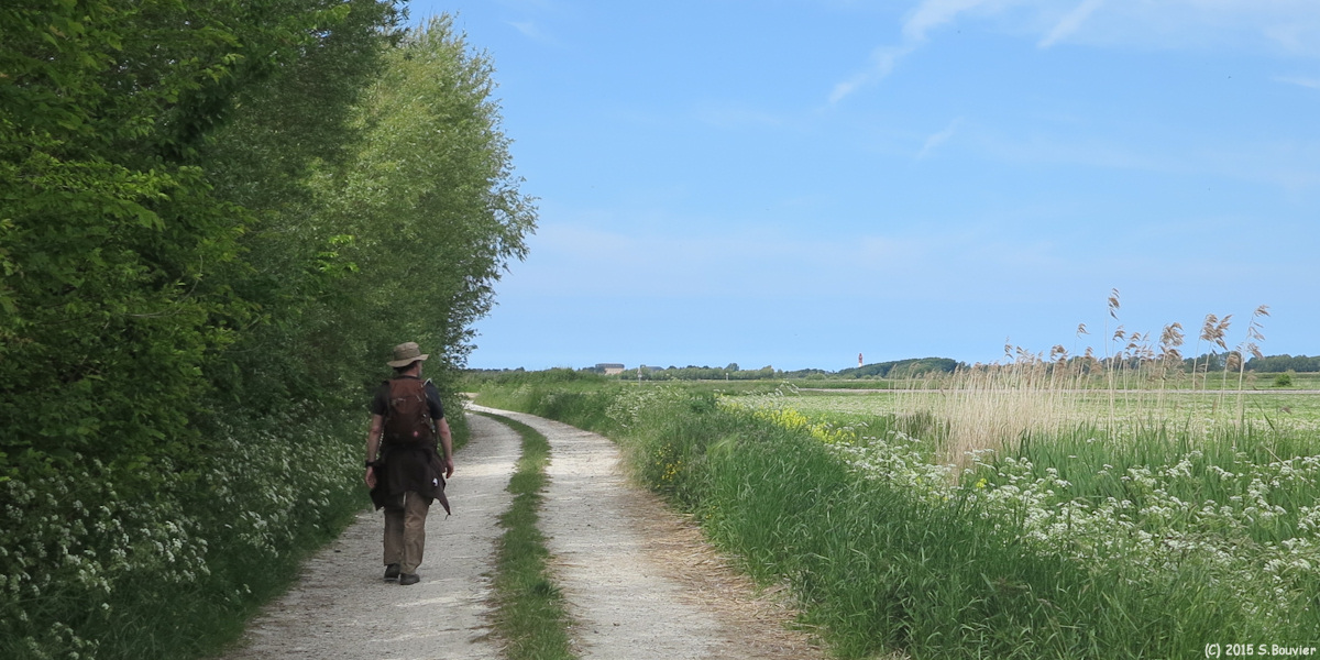Cayeux sur Mer (Chemin 1)