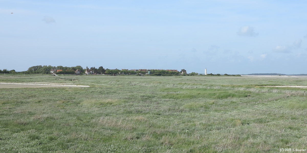 Cayeux sur Mer (Hourdel)