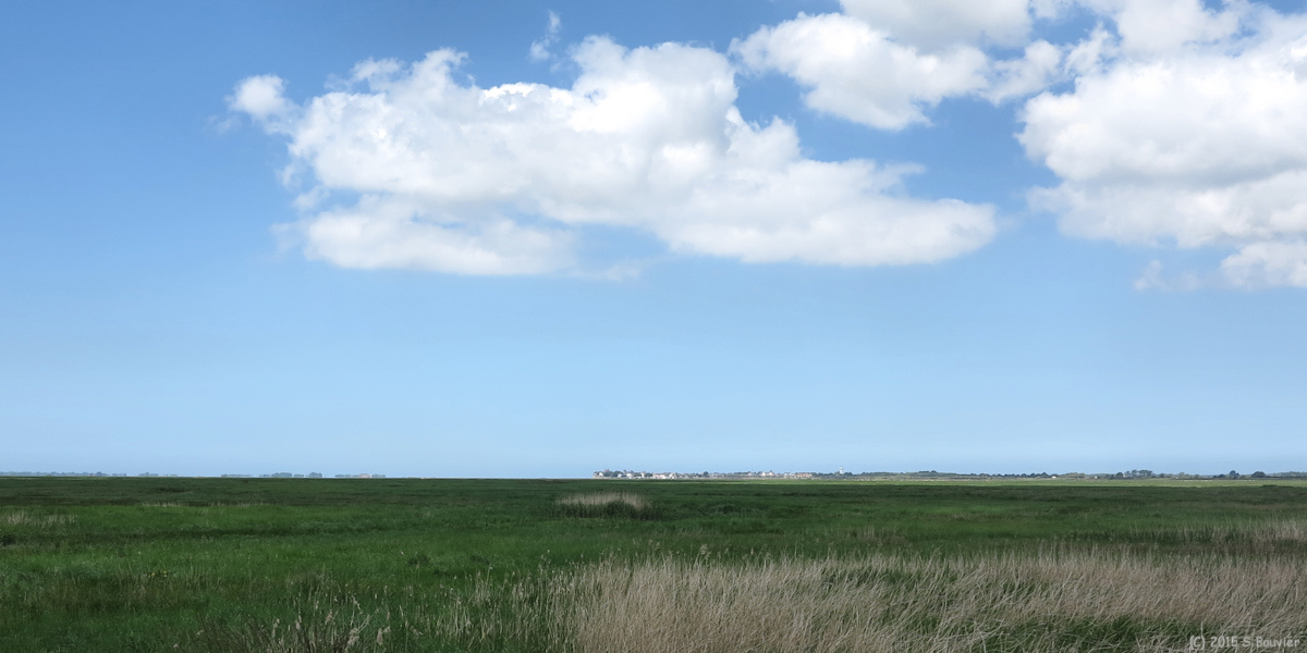 Ponthoile (Baie de Somme 1)