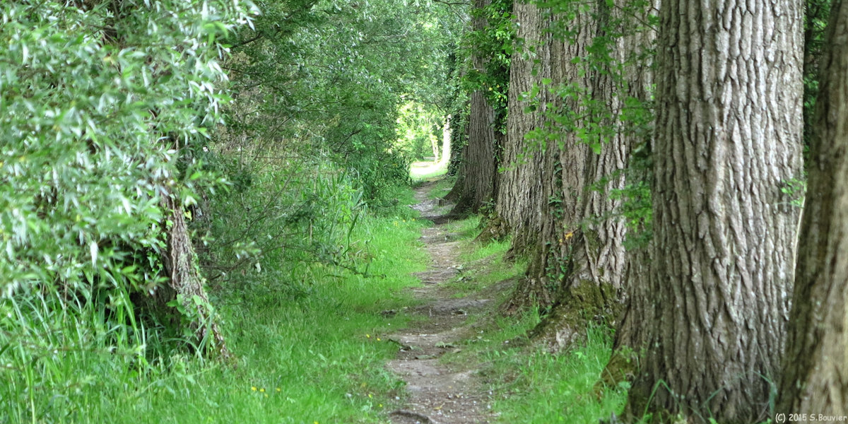 Erondelle (Sentier 1)
