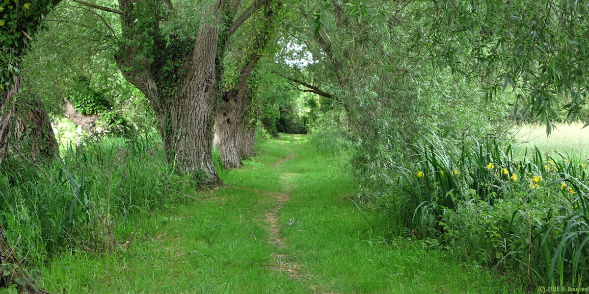Erondelle (Sentier 2)