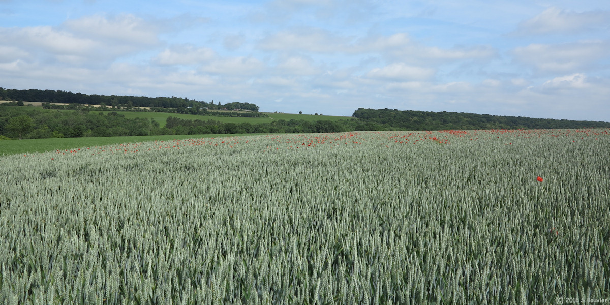 Hallencourt (vers Coquerel)