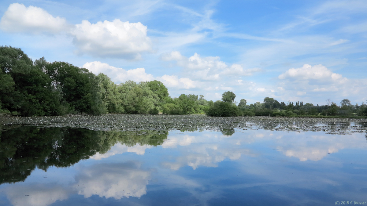 Condé-Folie (Etang)