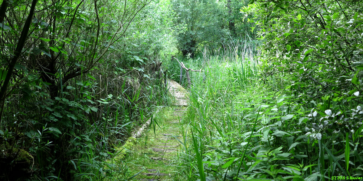Longpré-les-Corps-Saints (Passerelle 1)
