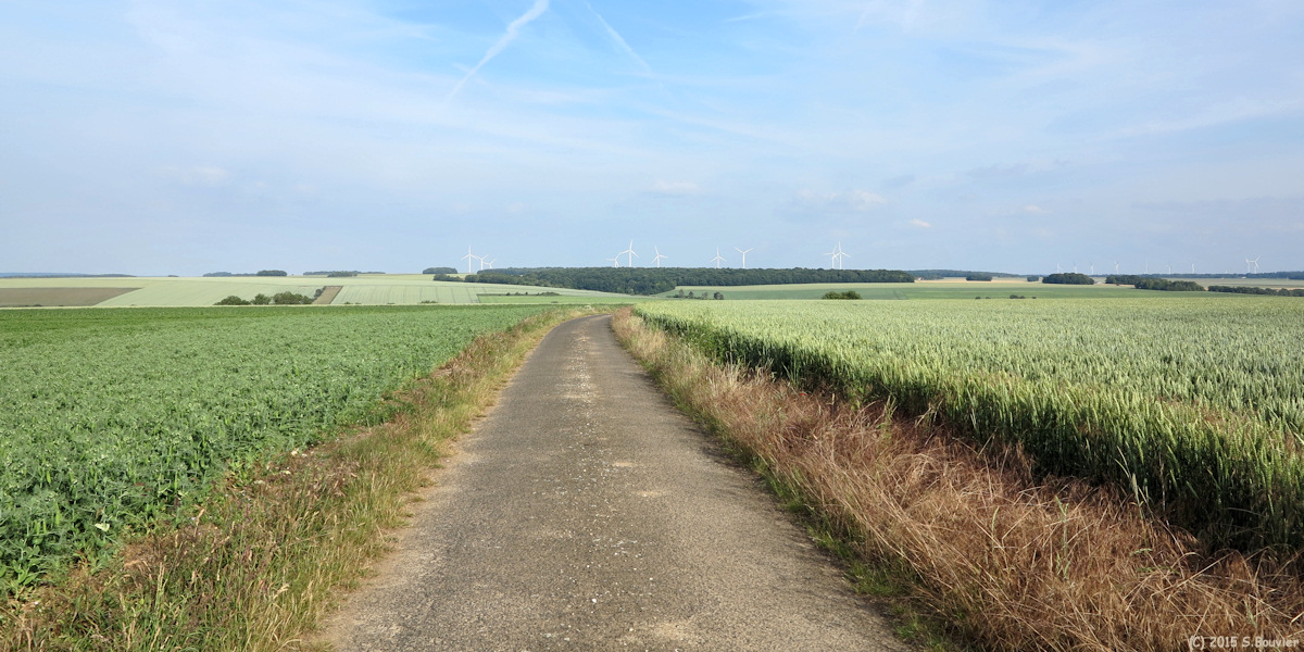 Bettencourt-Rivière (Route)