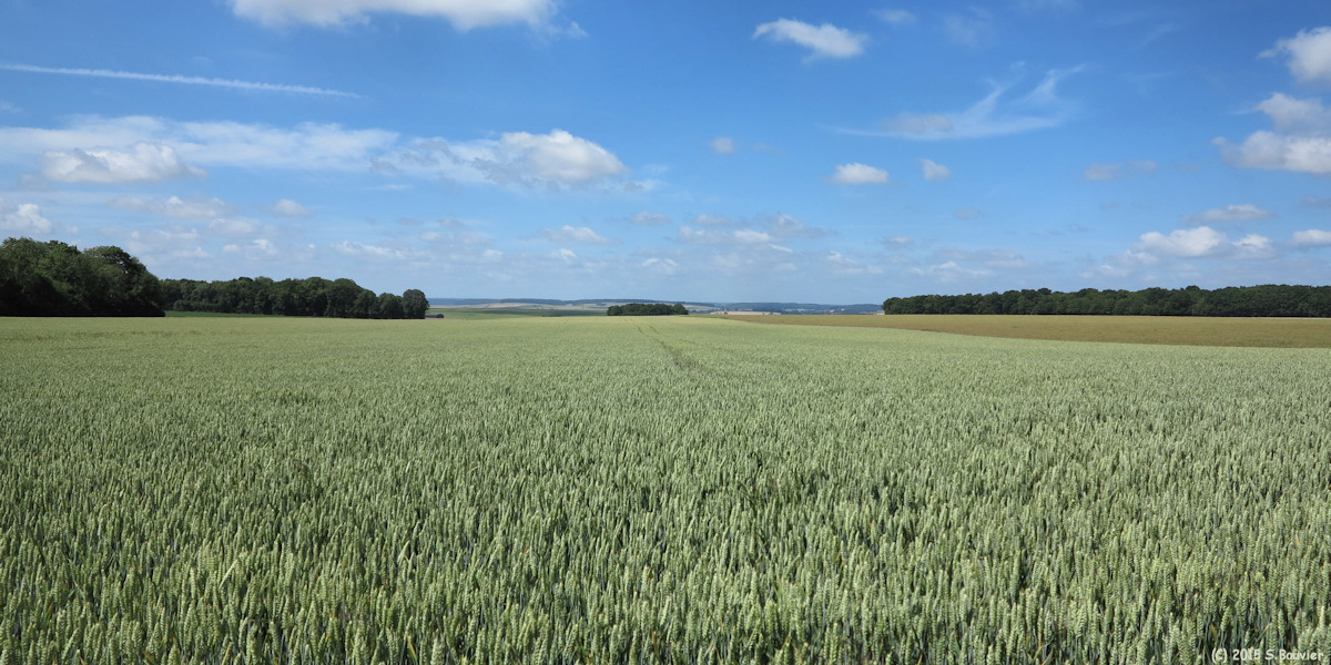 Bettencourt-Rivière (Plaine 1)
