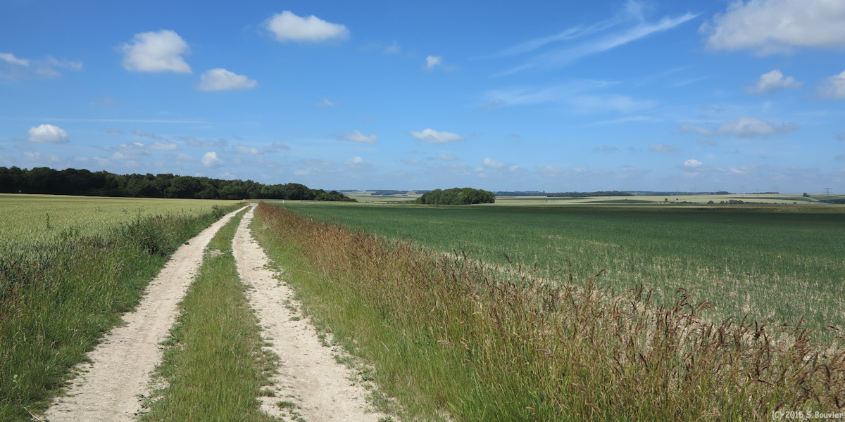Bettencourt-Rivière (Plaine 2)