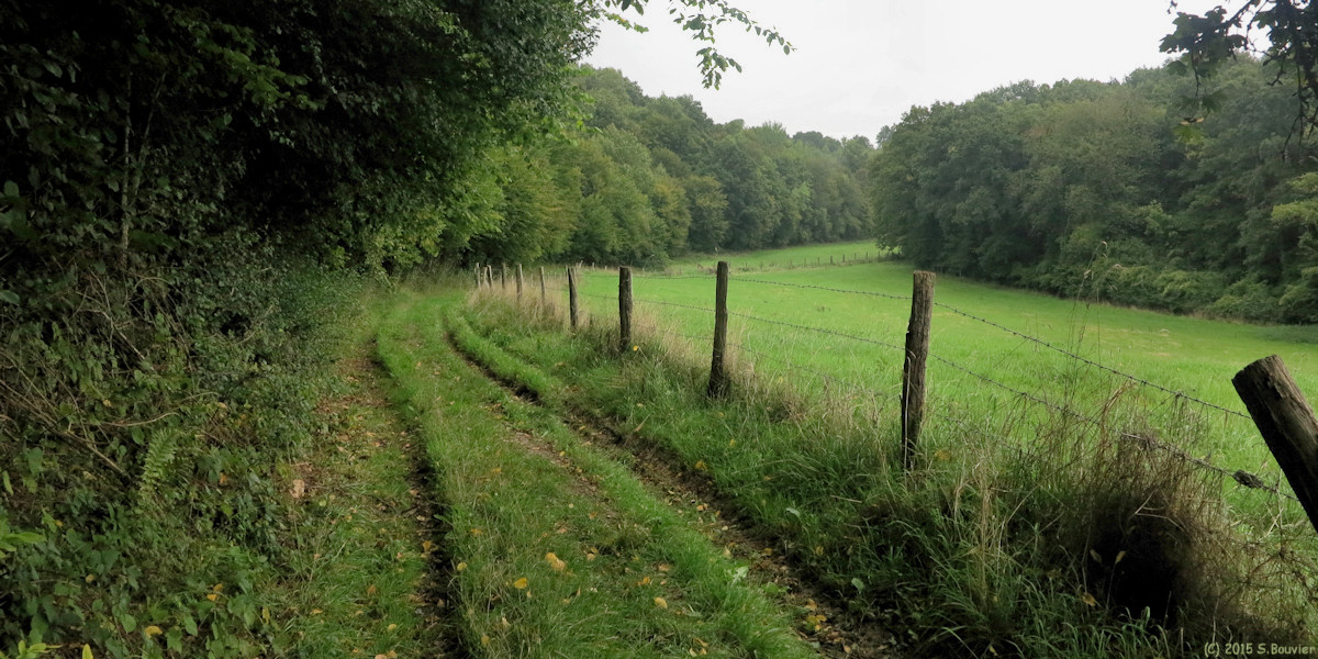 Vandrimare (Chemin 1)