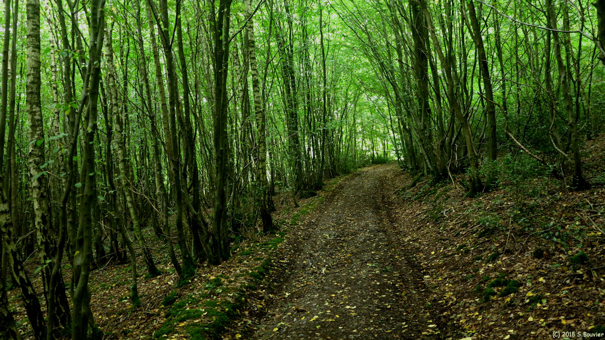 Vandrimare (Chemin 2)