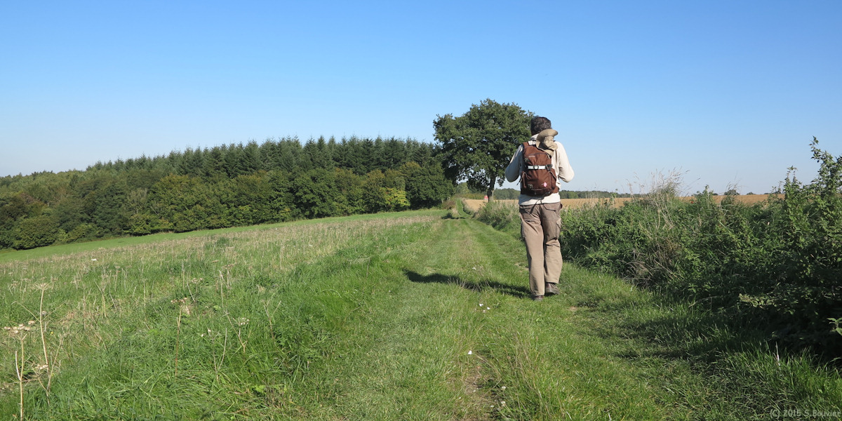 Gaillardbois-Cressenville (Chemin)