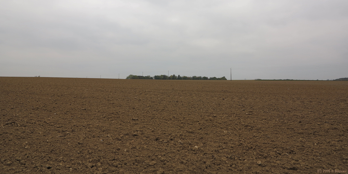 Le Héron (Plaine)
