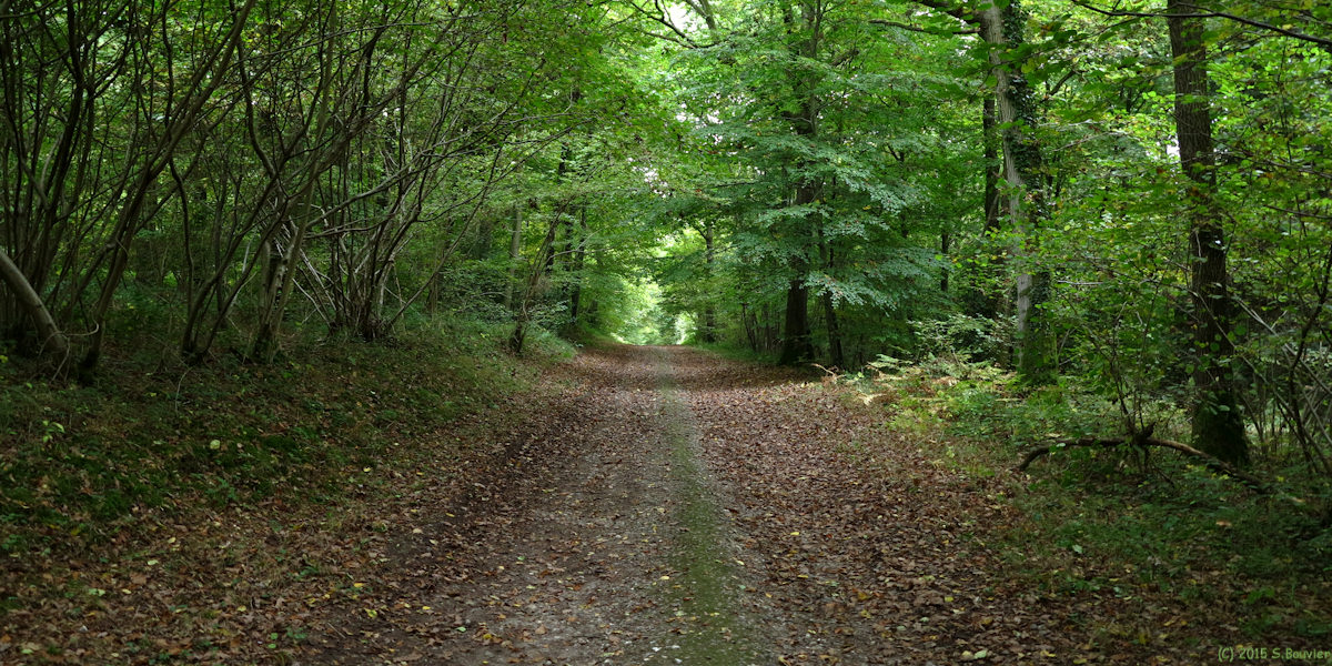 Le Héron (Chemin)