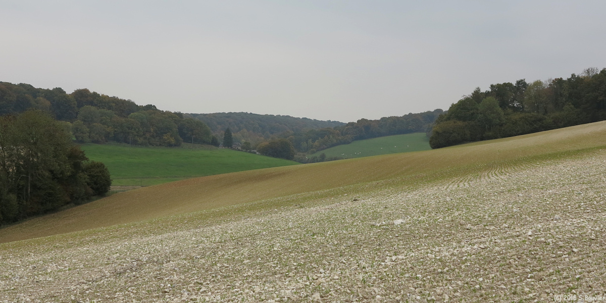 Le Héron (Vallée)