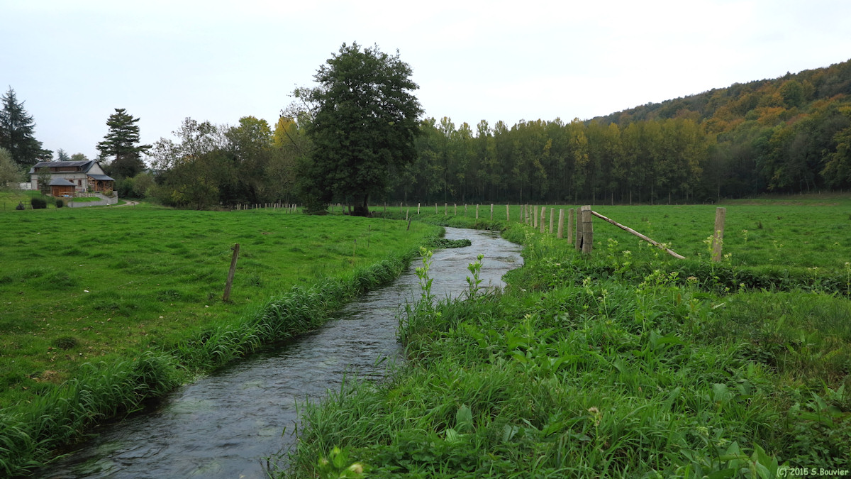 Le Héron (L'Héronchelles)