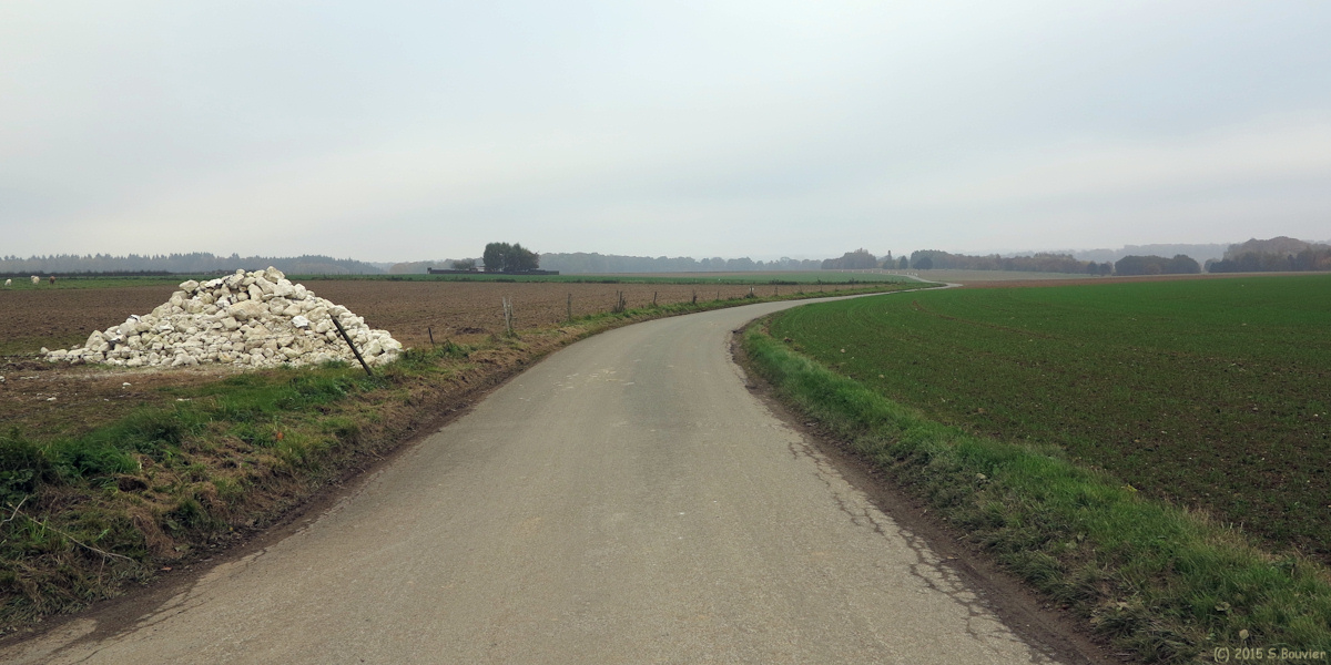 Saint Saëns (Route)