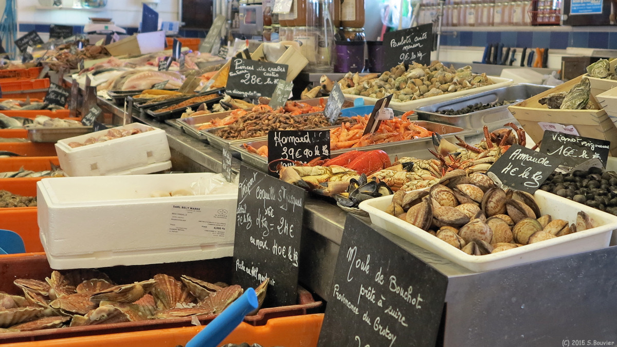 Le Tréport (Etal)