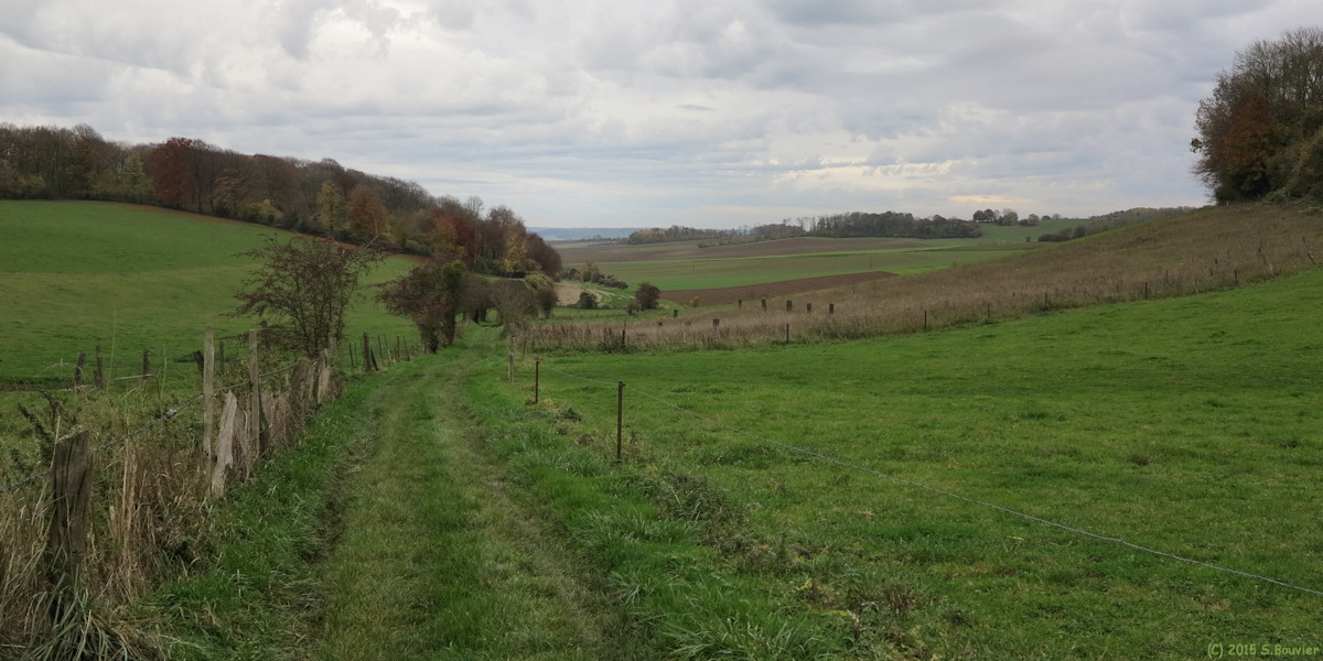 Mauquenchy (Chemin)
