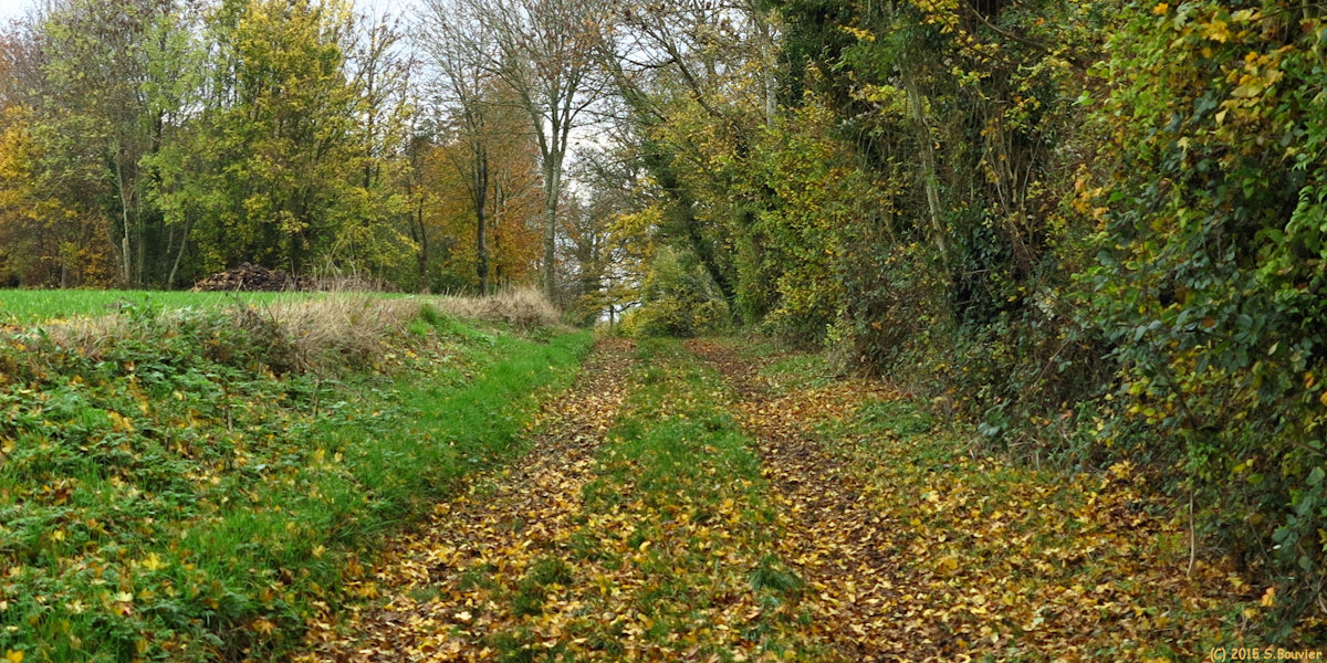 Roncherolles en Bray (Chemin 1)