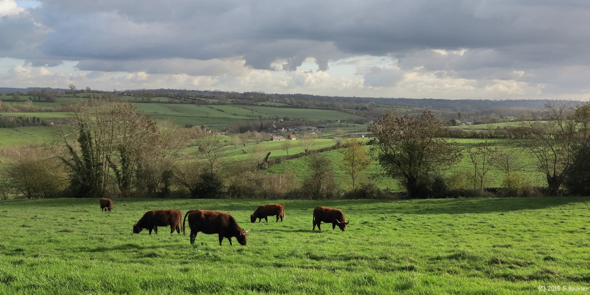 Saint Saire (Panorama 2)