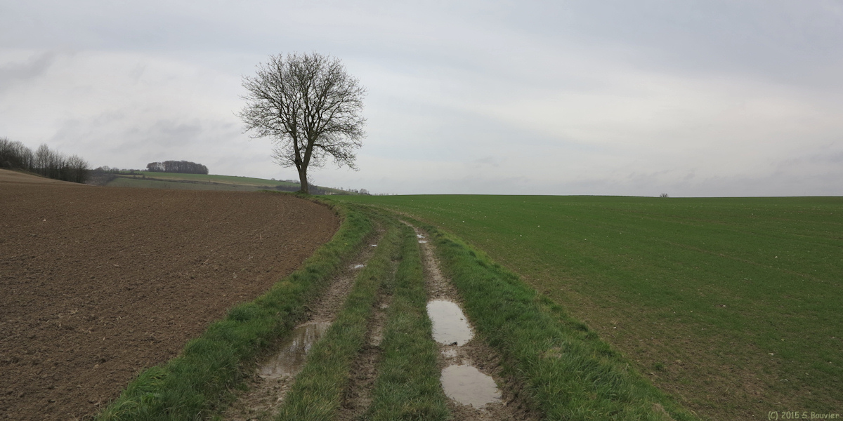 Sainte Geneviève (Chemin)
