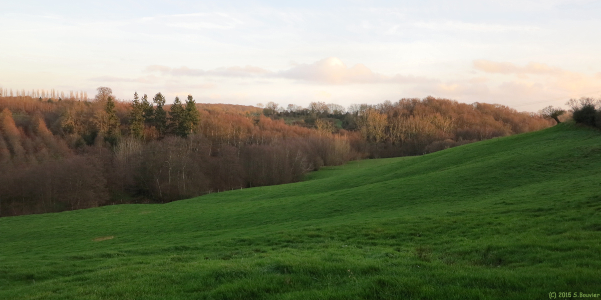 Massy (Vallée)