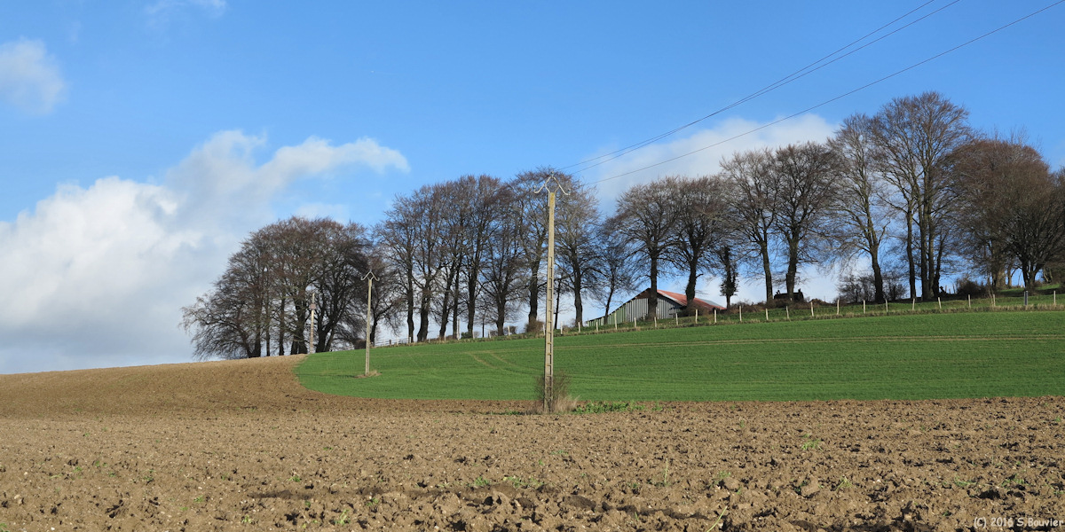 Croixdalle (L'Auge 1)