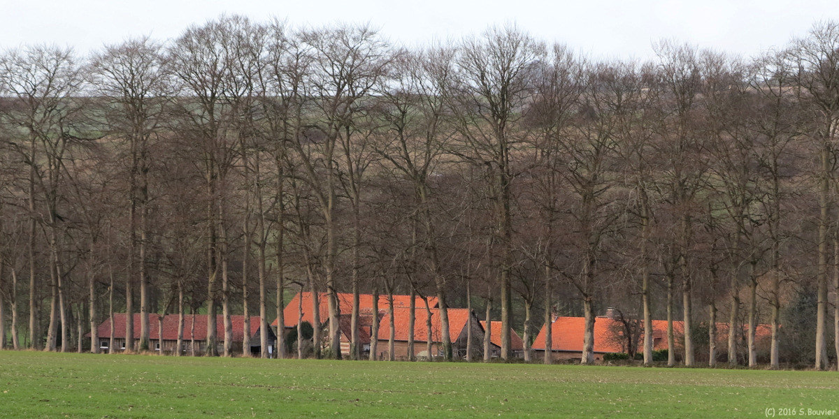 Croixdalle (Beauval 1)