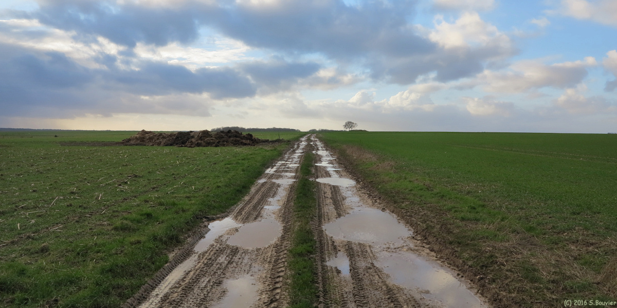Sainte Agathe d'Aliermont (Chemin 2)