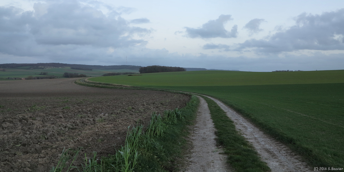 Osmoy Saint Valery (Chemin 2)