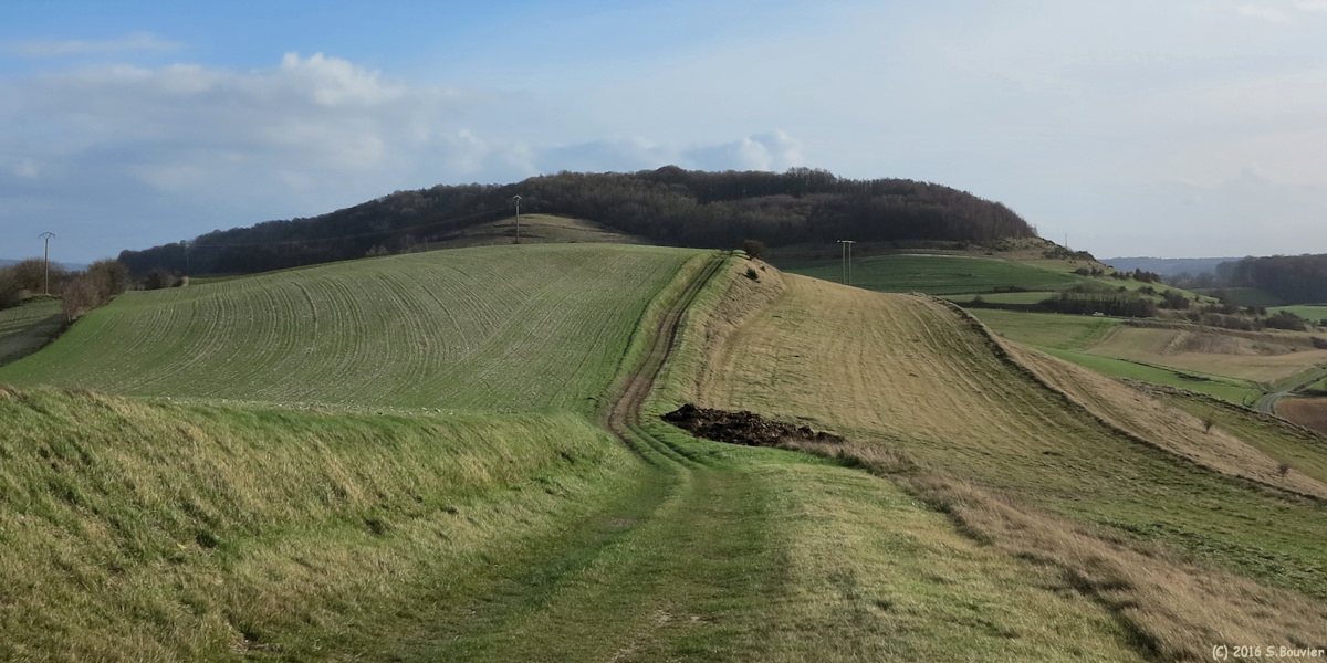 Saint Vaast d'Equiqueville (Chemin 2)