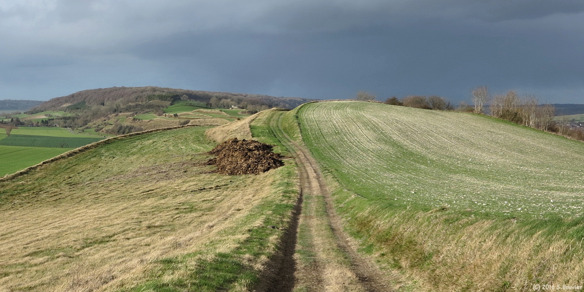 Saint Vaast d'Equiqueville (Chemin 3)