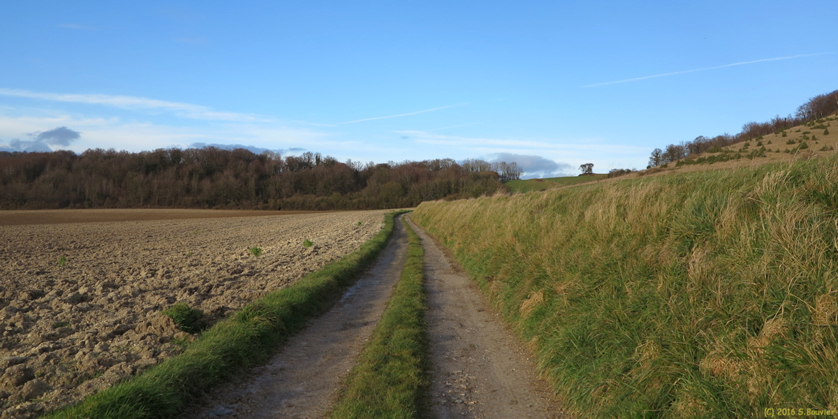 Osmoy Saint Valery (Chemin)