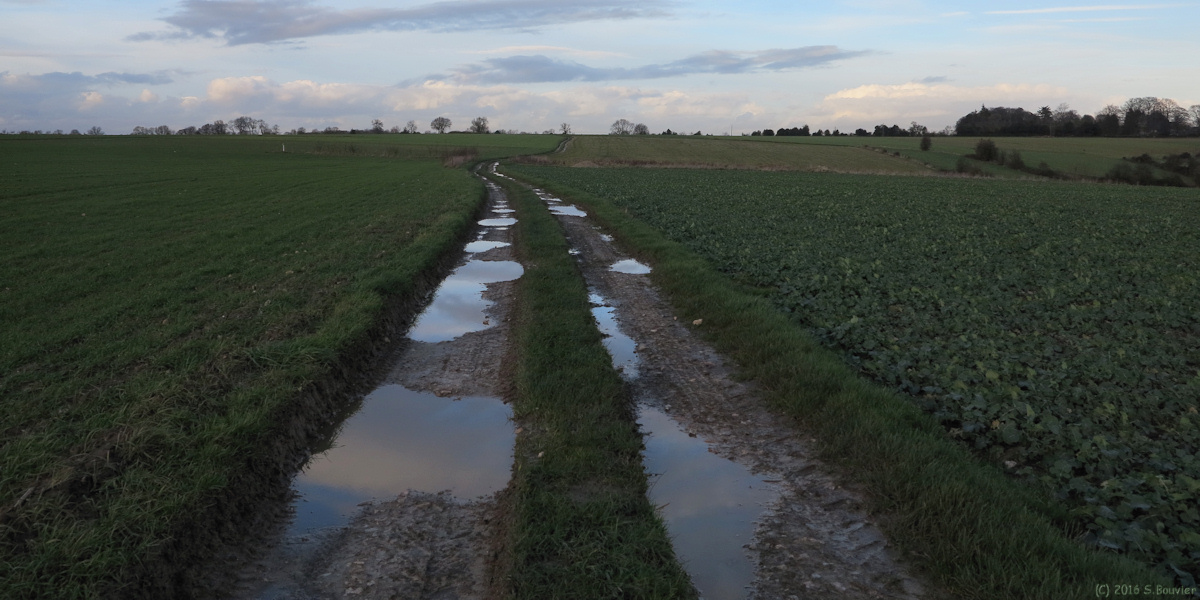 Sainte Agathe d'Aliermont (Chemin)