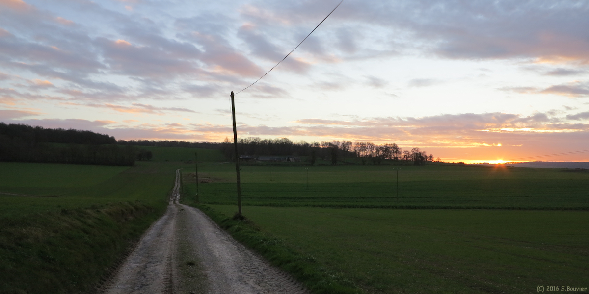Notre Dame d'Aliermont (Chemin)