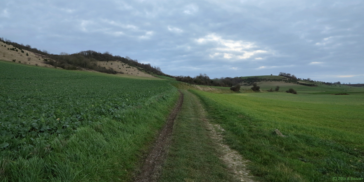Saint Vaast d'Equiqueville (Chemin 5)